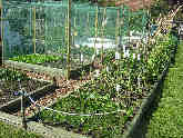 An allotment example